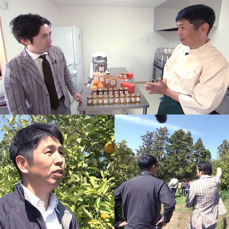enamifarm SBS TV